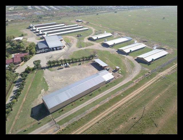 FARM FOR SALE IN WELKOM RURAL